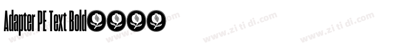 Adapter PE Text Bold字体转换